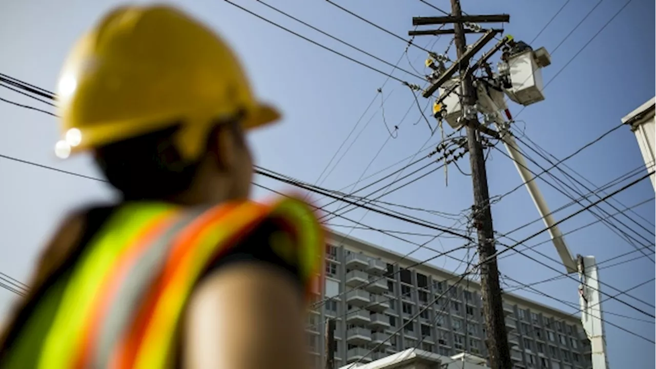 Puerto Rico Utility Bondholders Seek Bigger Bankruptcy Payouts