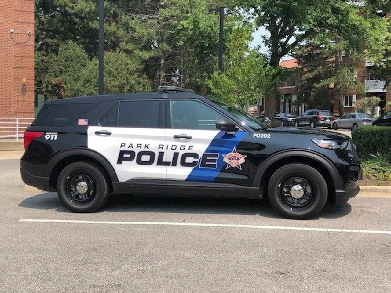 Park Ridge police: SUV carjacked at gas station, burglary at vape shop