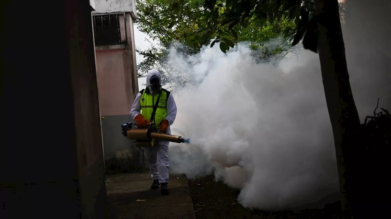 Declaran emergencia nacional por epidemia de dengue en Guatemala