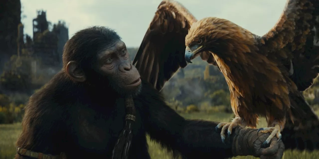 'Kingdom of the Planet of the Apes' Director Teases a &quot;Raw Cut&quot; on Blu-ray