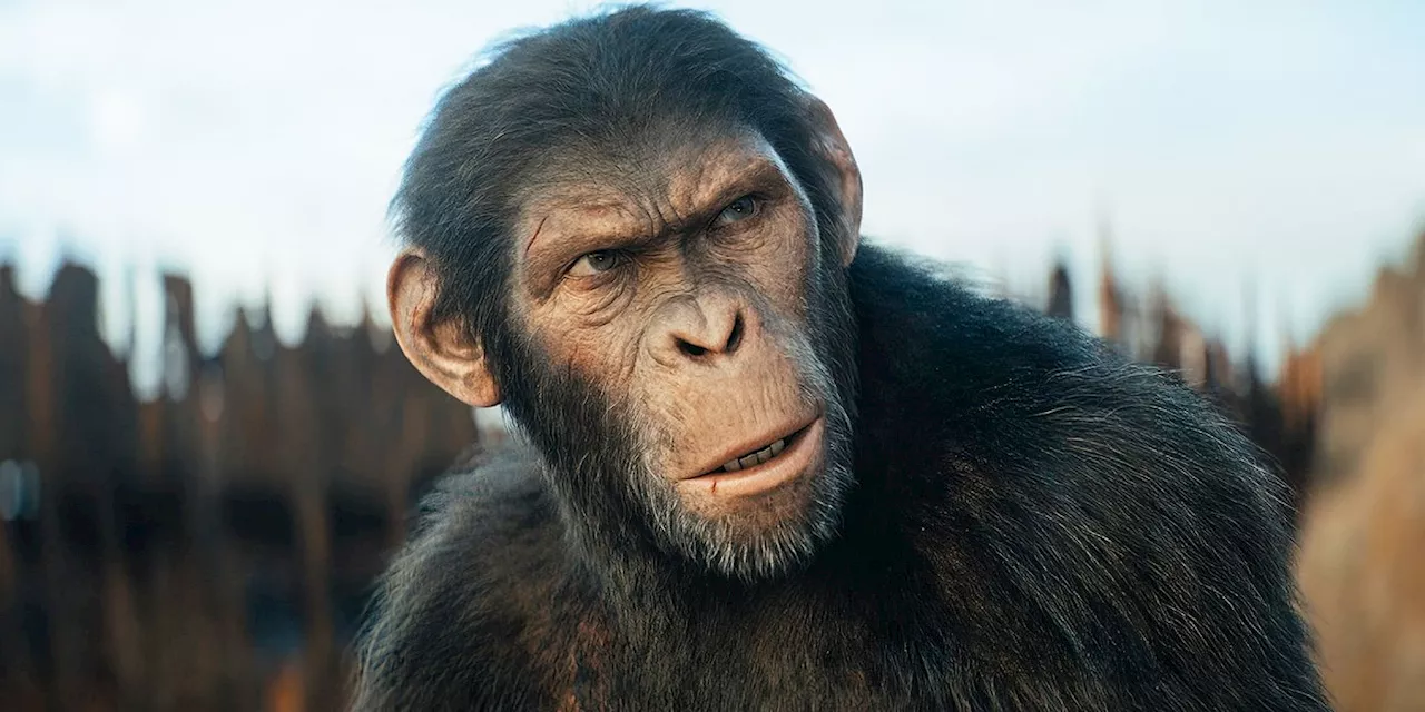 'Kingdom of the Planet of the Apes' Trailer — Noa Fights For Freedom