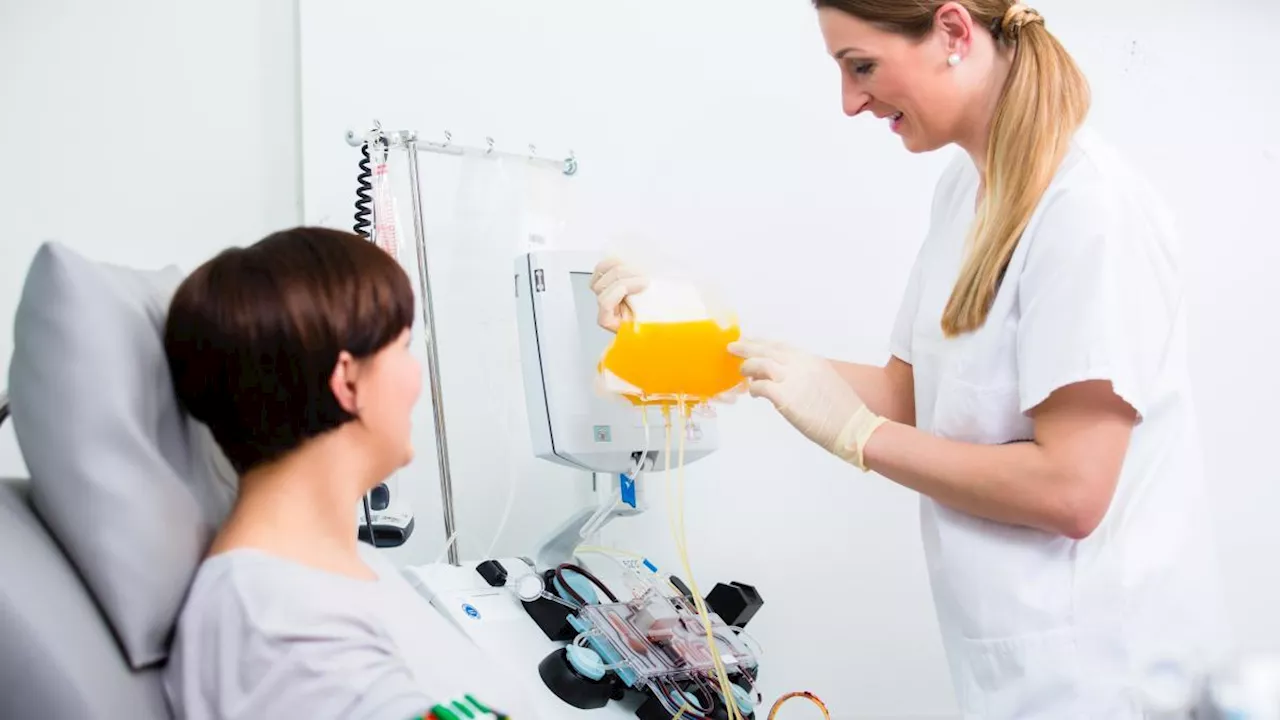 Derivati del plasma, la raccolta di sangue è da record ma rischiamo di non essere autosufficienti: perché?