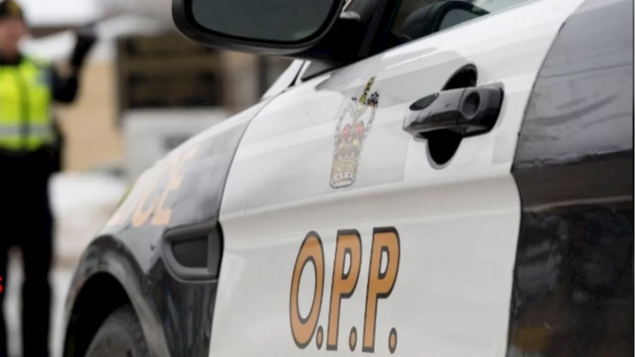 OPP investigating fatal collision on Hwy. 417 near Limoges, Ont.