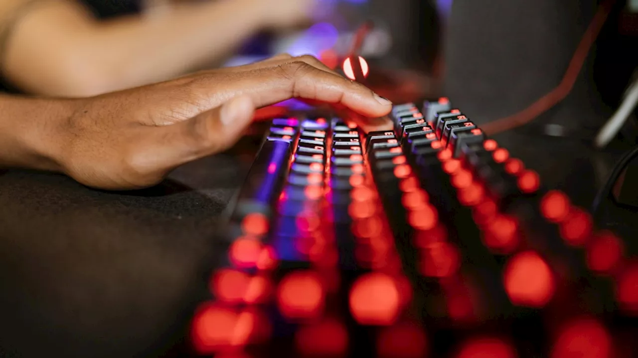 Police warn of malicious 'Cheat Lab' program targeting gamers