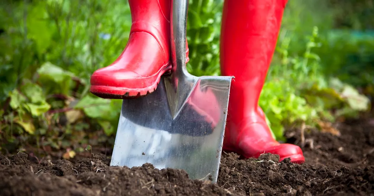 Gardeners warned not to do five common jobs 'too early' this spring