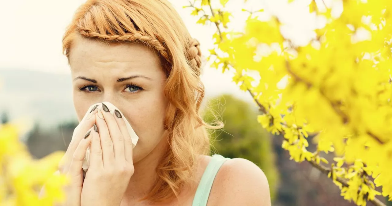 NHS Pharmacy First Scotland to help provide protection against hay fever