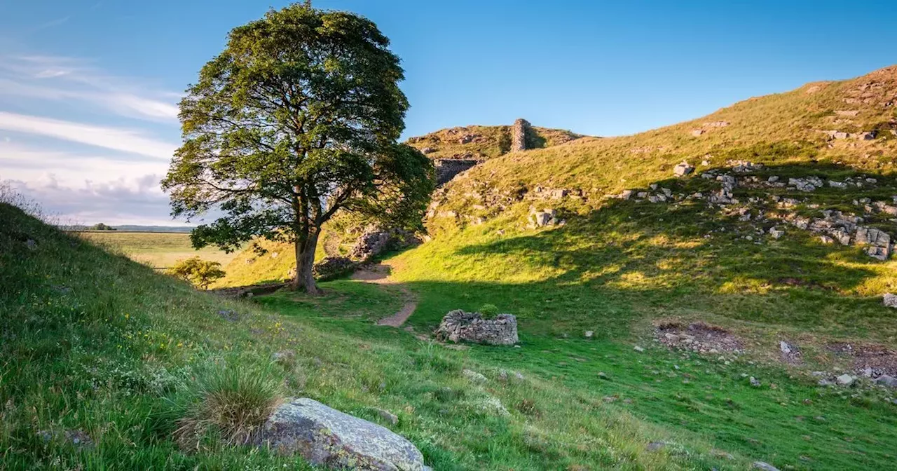 Sycamore Gap tree felling latest as two men charged with criminal damage