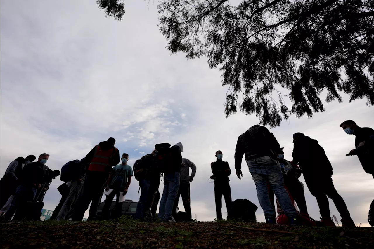 Vast majority of voters support using existing powers to stop illegal immigration: Poll