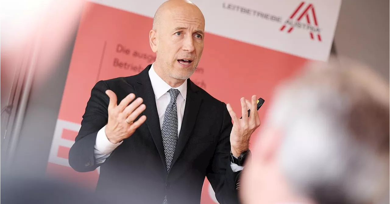 Wirtschaftsminister Kocher will Nationalbank-Gouverneur werden