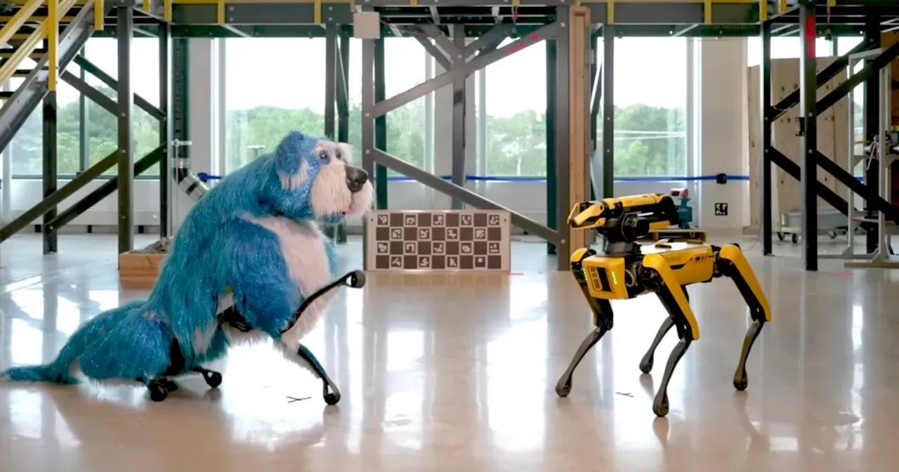 Boston Dynamics: Watch Boston Dynamics’ dog-like robot don a dog suit ...