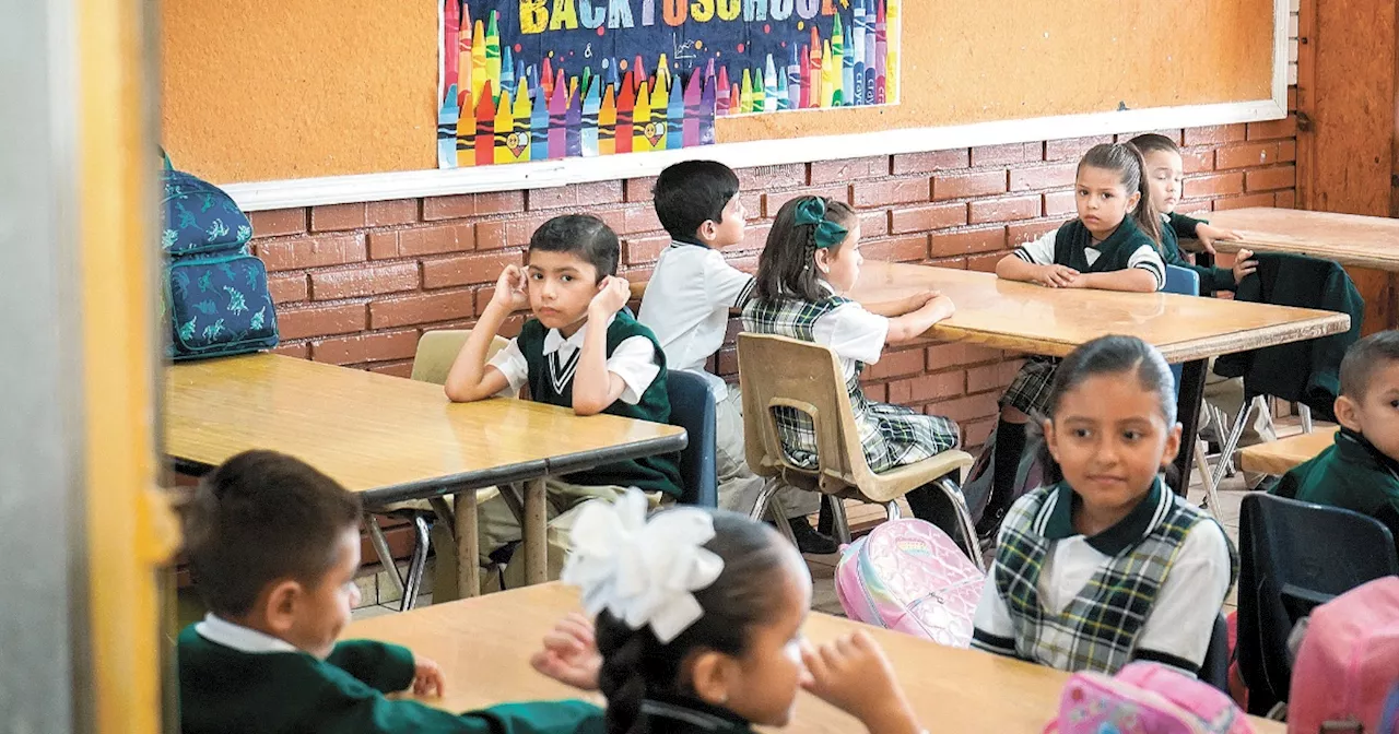 Seguros para garantizar la educación de los niños y jóvenes