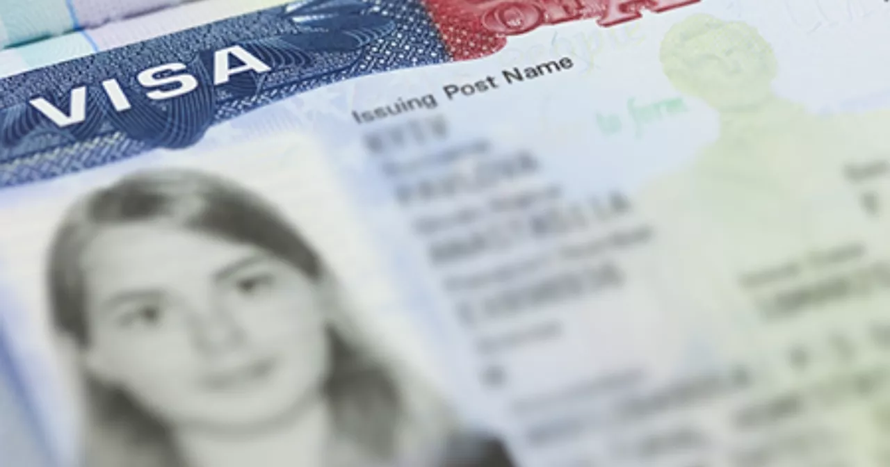 Visa TN: Puente laboral con Estados Unidos poco conocido y pendiente de actualizarse