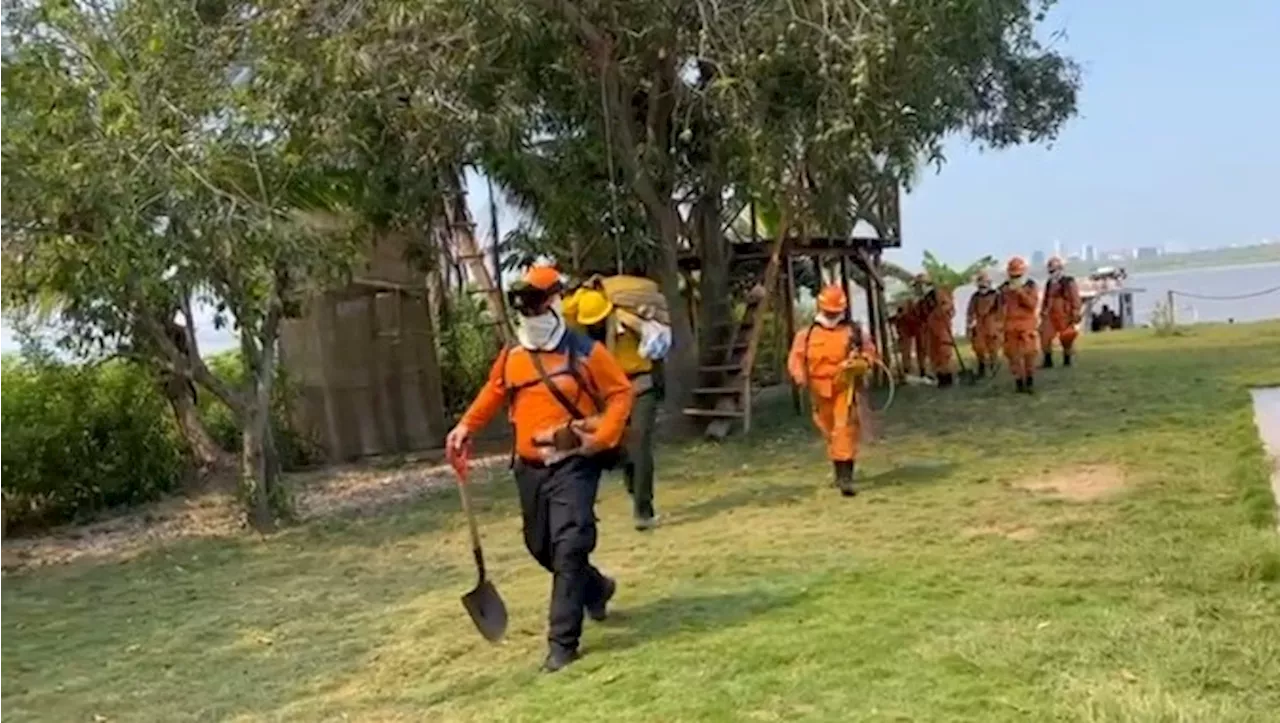 Armada apoya labores de extinción de incendio en Parque Isla Salamanca