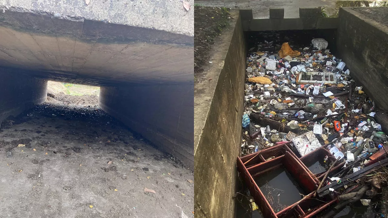 La limpieza del Canal de Bicentenario, en Cartagena, duró muy poco