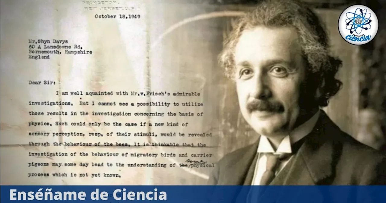 Una carta perdida revela que Albert Einstein predijo la existencia de los supersentidos animales