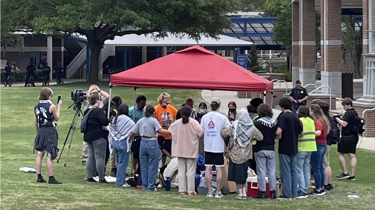 Dozens of students rally at UNF, call for end to Israel-Hamas war