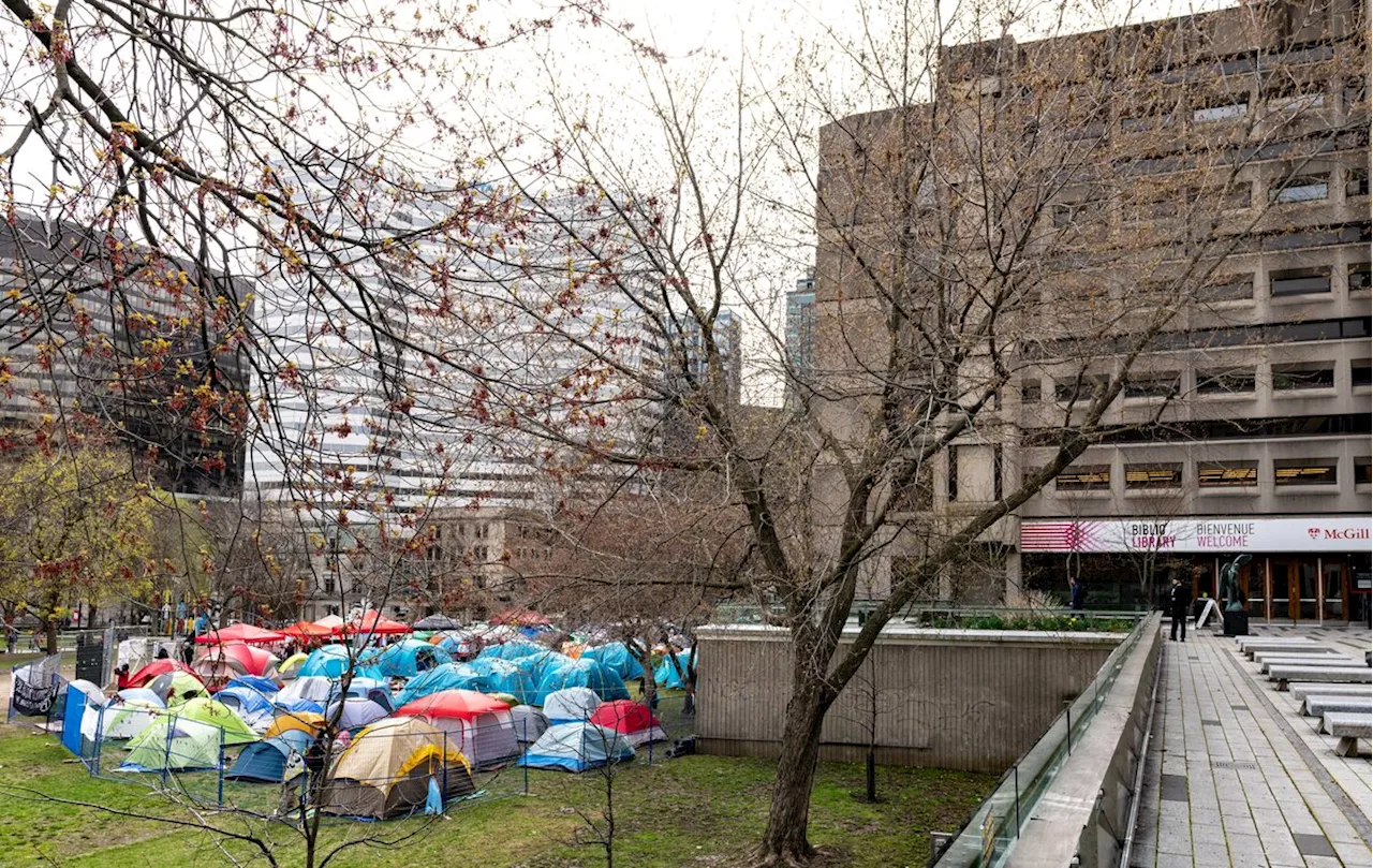 A look at the divestment demands by McGill University protesters