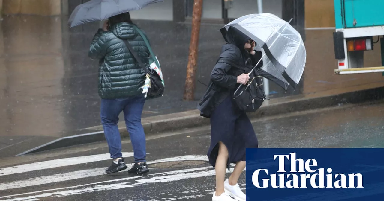 NSW weather: up to 10 days of rain forecast as BoM says weekend flooding possible