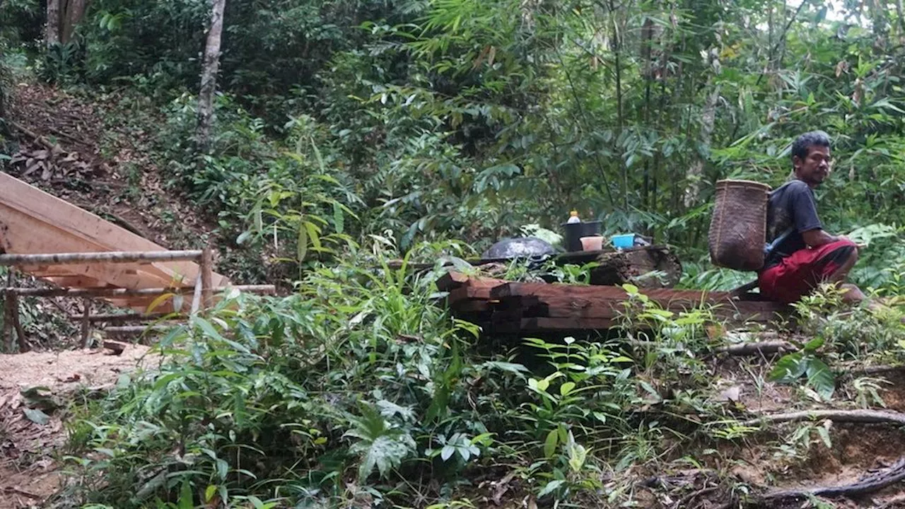 Setelah Empat Kali Diusulkan, Hutan Adat Kinipan Mulai Temukan Titik Terang