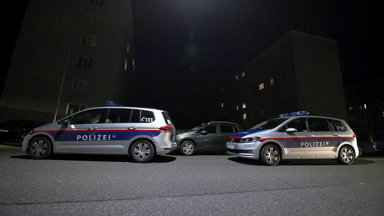 14-Jähriger rast mit Mamas Auto Polizei in Wien davon