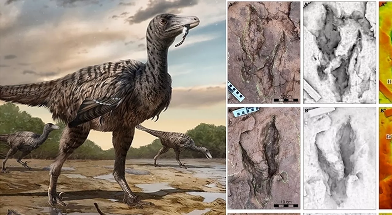 Scoperto il Megaraptor, il dinosauro più veloce e più grande del velociraptor di Jurassic Park