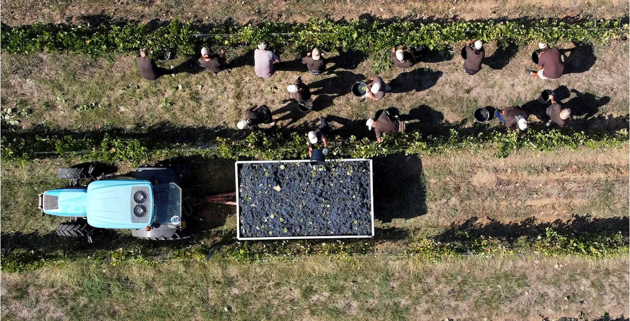 L’organizzazione che sfruttava nei campi i migranti di un centro di accoglienza, in Toscana