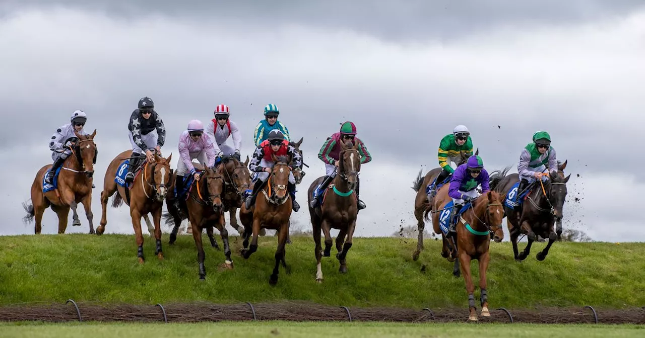 Punchestown Festival 2024 day 1 race card and tips - list of runners Tuesday