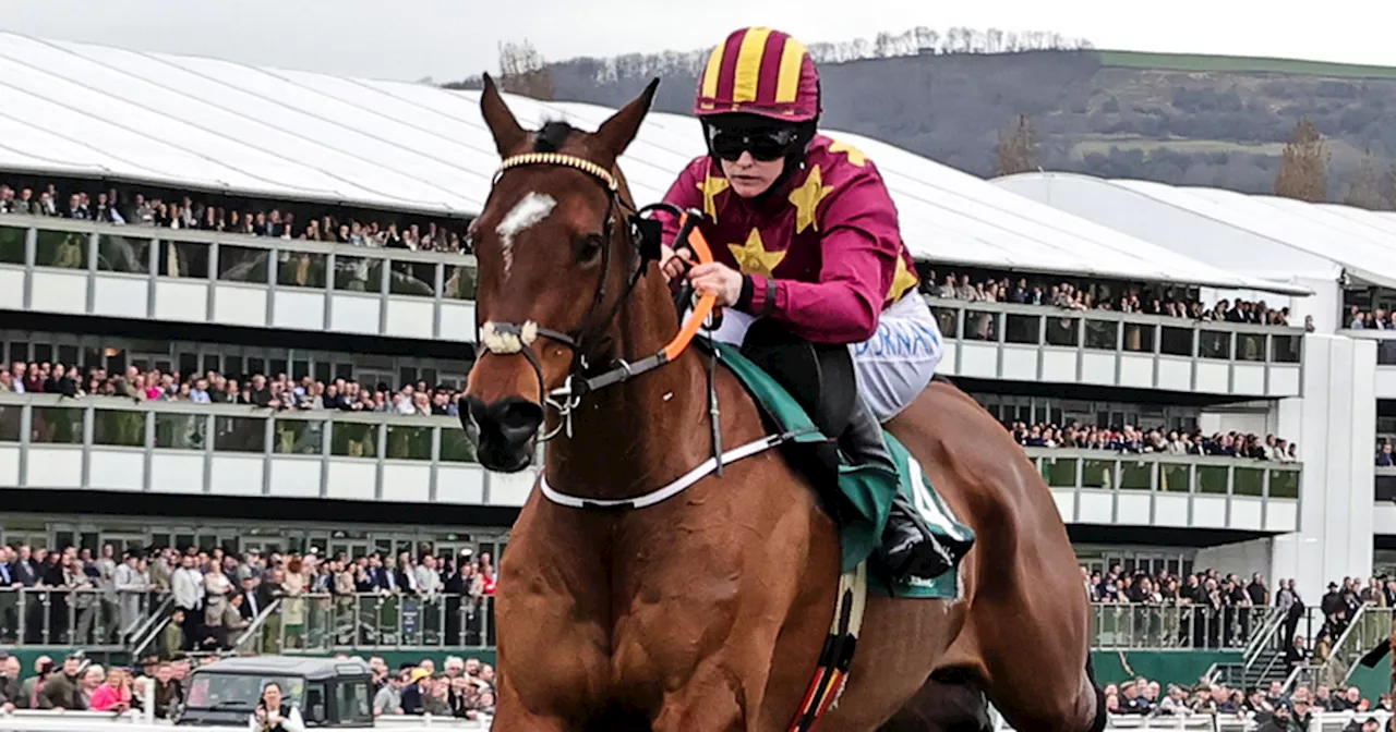 Punchestown Festival 2024 day 1 tips: Robbie Power's selections for Tuesday