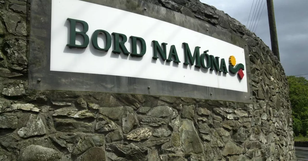 Bord na Móna and Amazon strike energy deal