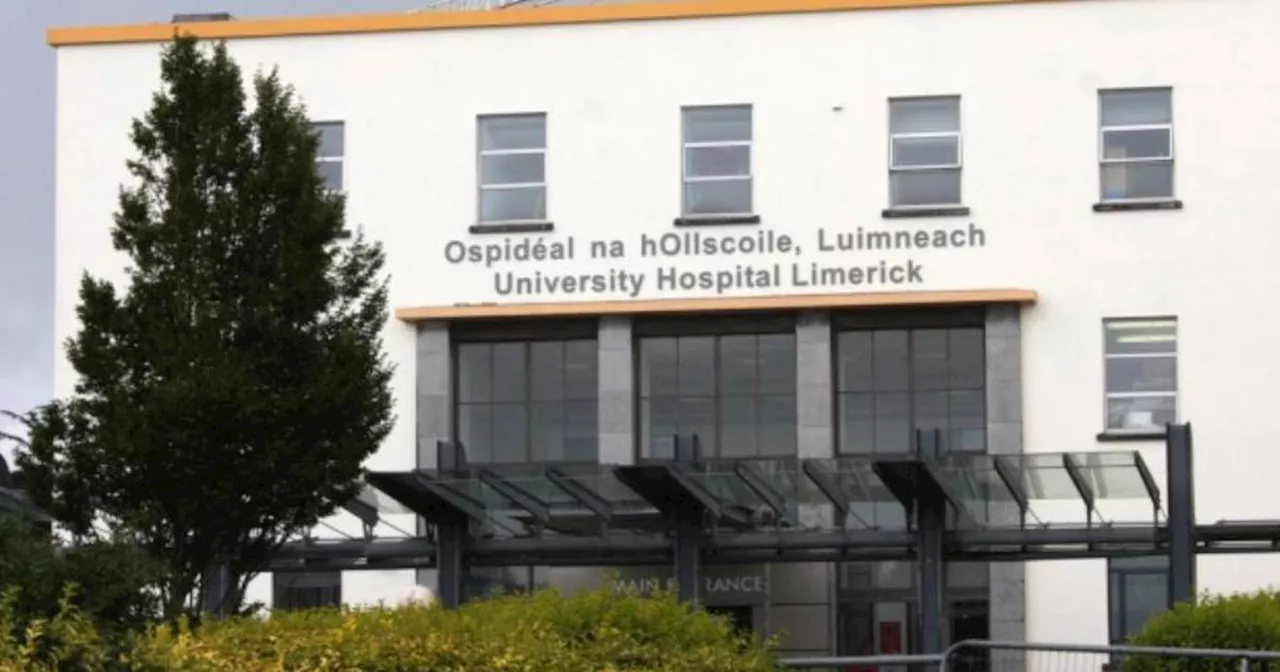 University Hospital Limerick overcrowding to be focus of new health services support team