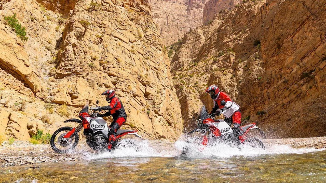 दमदार इंजन के साथ लॉन्‍च हुई Ducati DesertX Rally बाइक, जानें क्‍या है कीमत और फीचर्स