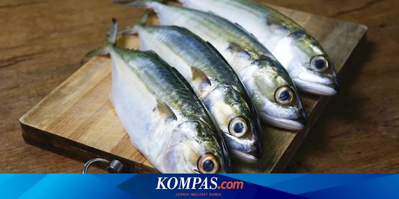 Ikan Kembung, Tuna, dan Salmon, Mana yang Lebih Baik untuk MPASI?