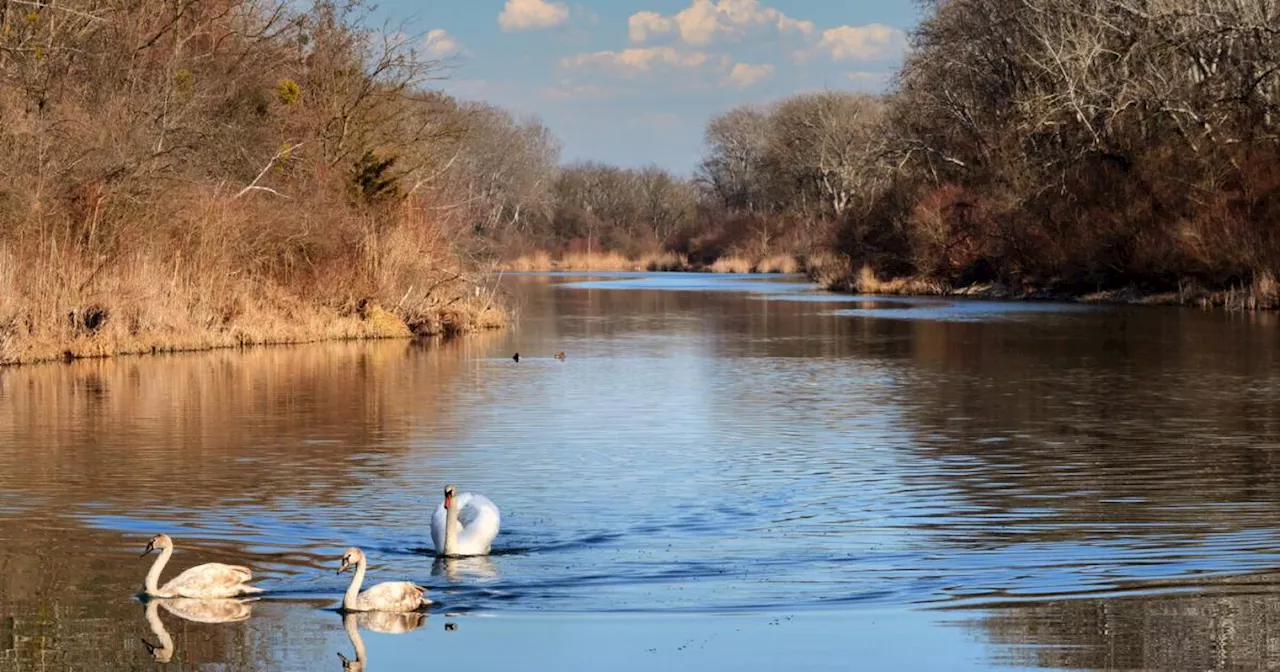 'Lobau Miteinander Wochen 2024': Treffen mit Mutter Natur