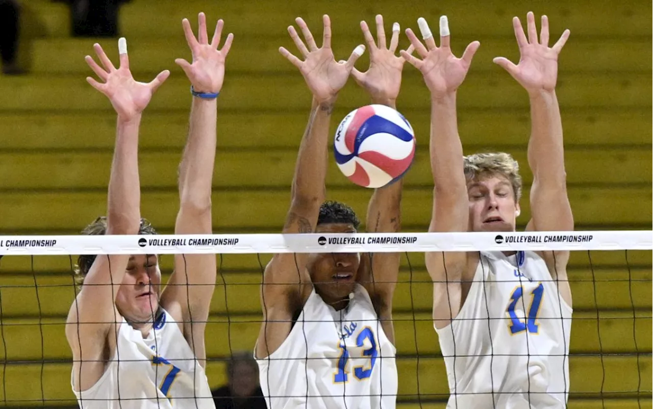 UCLA men’s volleyball opens NCAA Tournament with Fort Valley State sweep