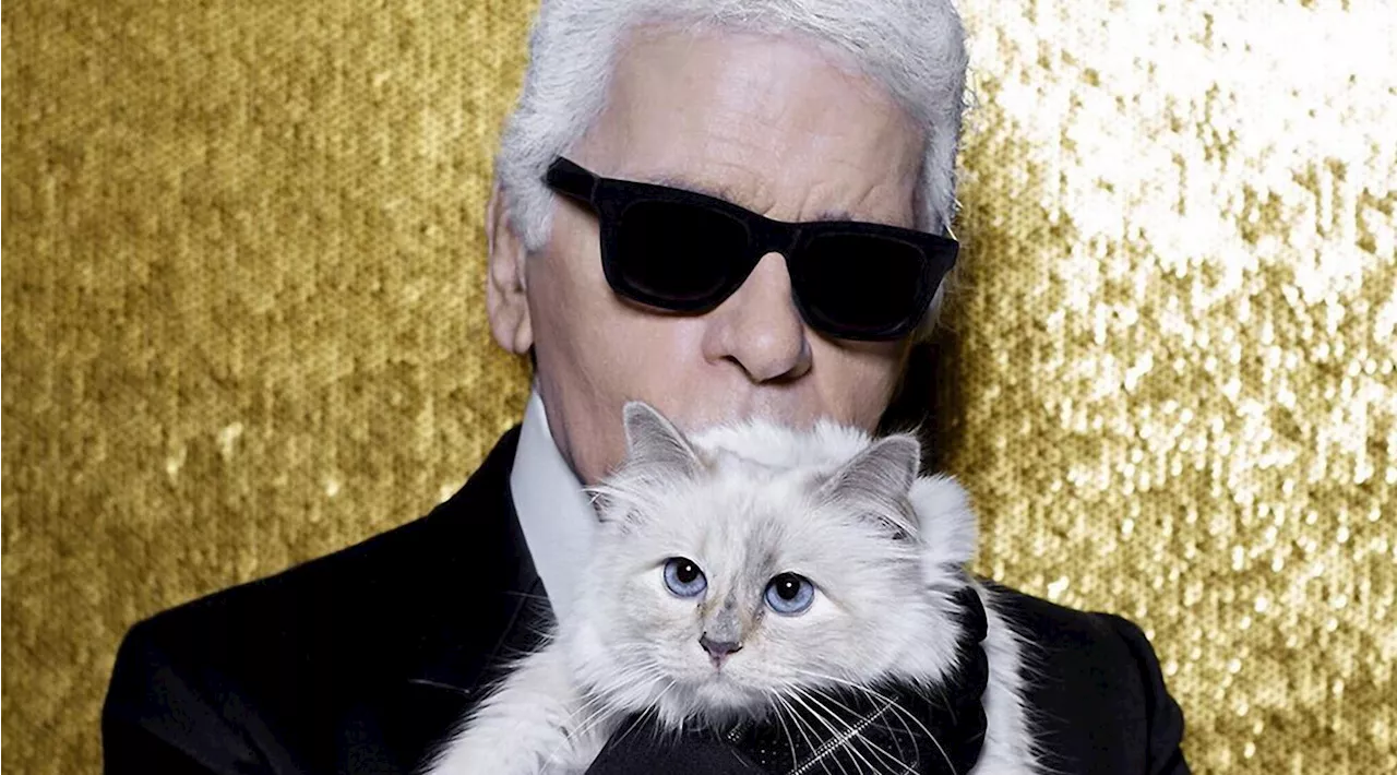 Met Gala 2023, la gattina Choupette Lagerfeld invitata speciale