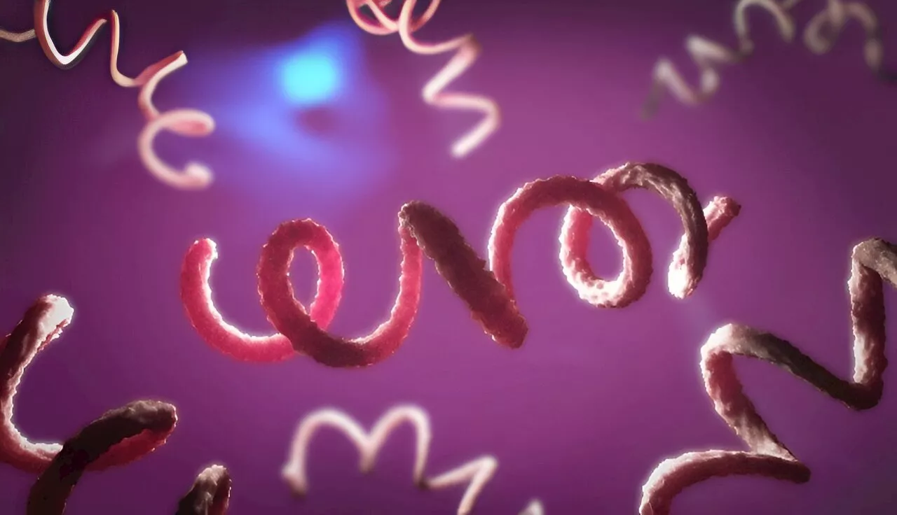 Doctors seeing more atypical, severe symptoms in patients with syphilis