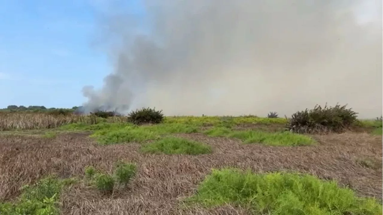 Nuevo incendio arrasa área protegida del Vía Parque Isla Salamanca en Magdalena