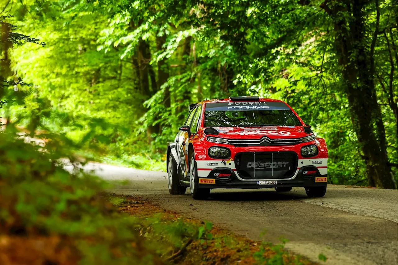 Stellantis motorsport chief gives verdict on WRC future vision