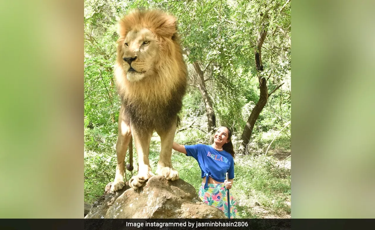 PHOTOS: बॉयफ्रेंड के साथ मॉरिशस के जंगलों में पहुंचीं जैस्मिन भसीन, कभी मोर, कभी शेर, तो कभी जिराफ संग दिया पोज