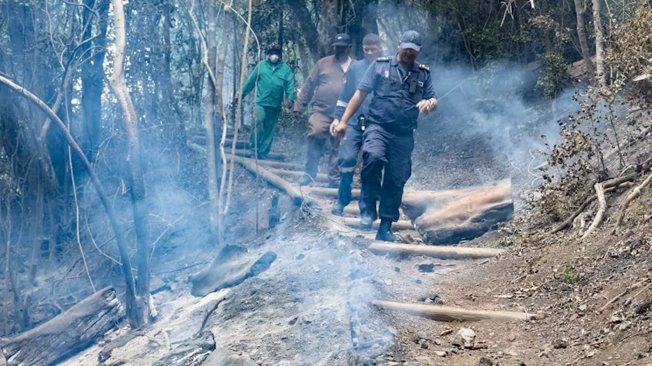 Firefighters hope cooler Cape Town weather will aid efforts to douse Table Mountain blaze