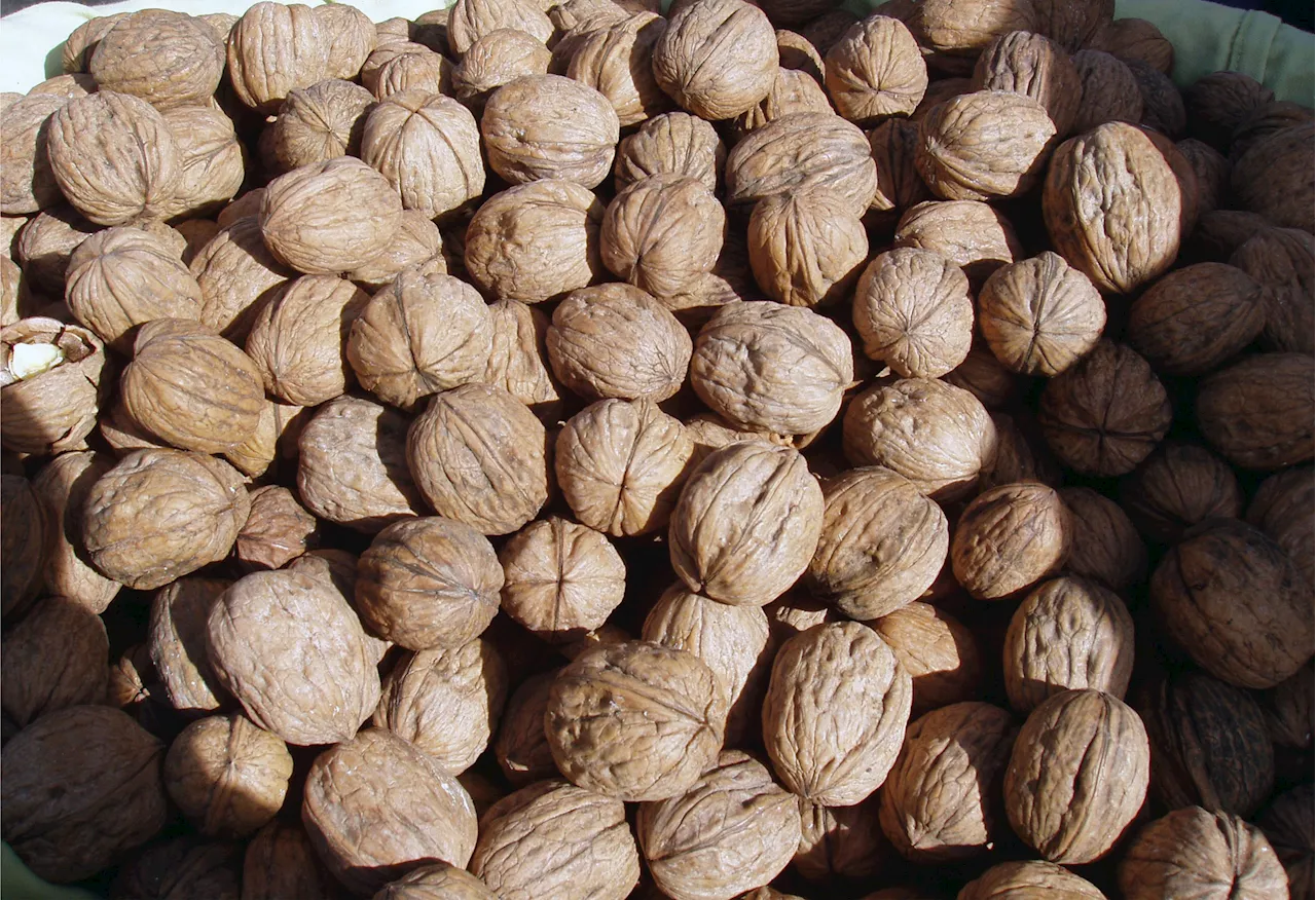 Nut Recall as Urgent E. Coli Warning Issued