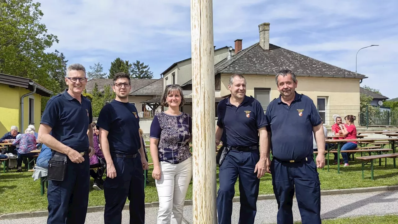 „Recycelter“ Maibaum in Wiesen umgeschnitten: Unmut nach Tat ist groß