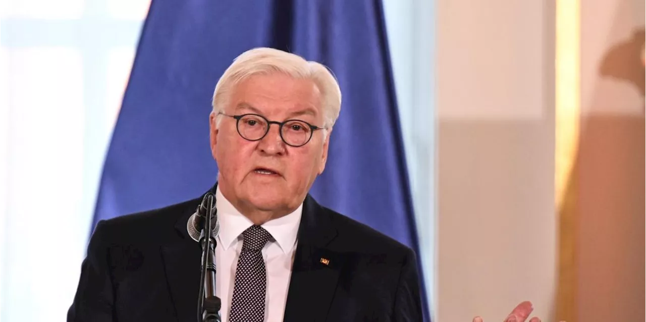 Kritik an Steinmeier nach Aussage zu „Kaliber-Experten“