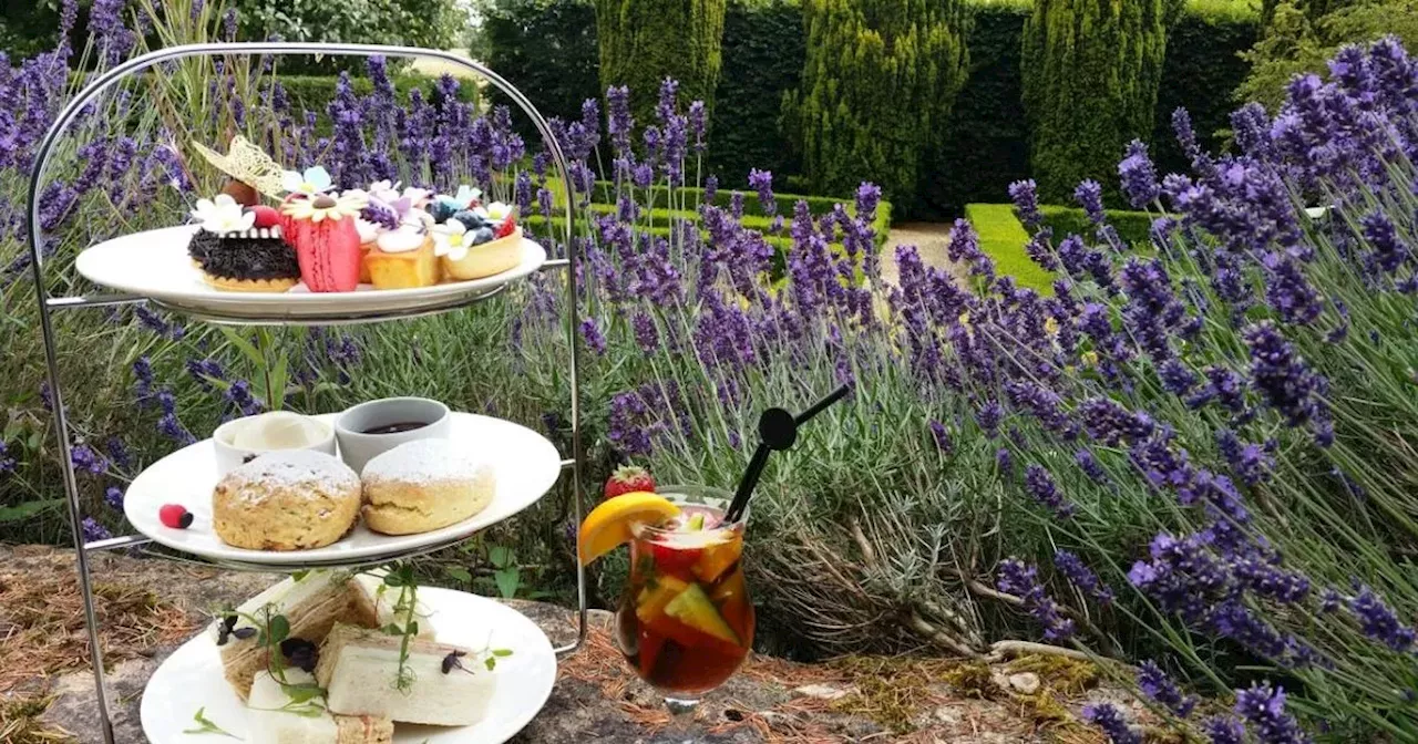 Top afternoon teas to enjoy in Northamptonshire