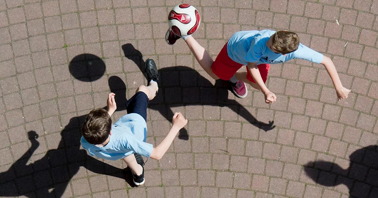 Nach Igel-Quälerei auf Bielefelder Schulhof: „Der Vorfall muss auf den Tisch“