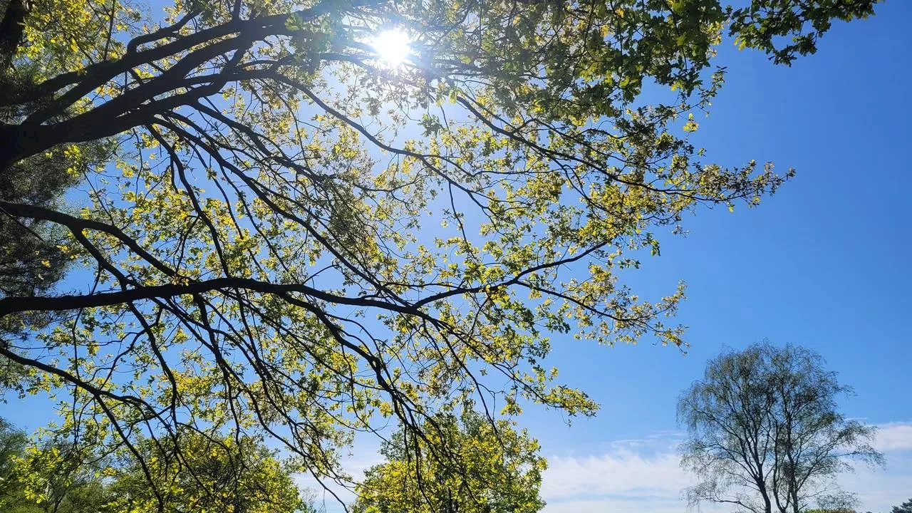 Mei begint met zomerse temperaturen (en er komt onweer aan)