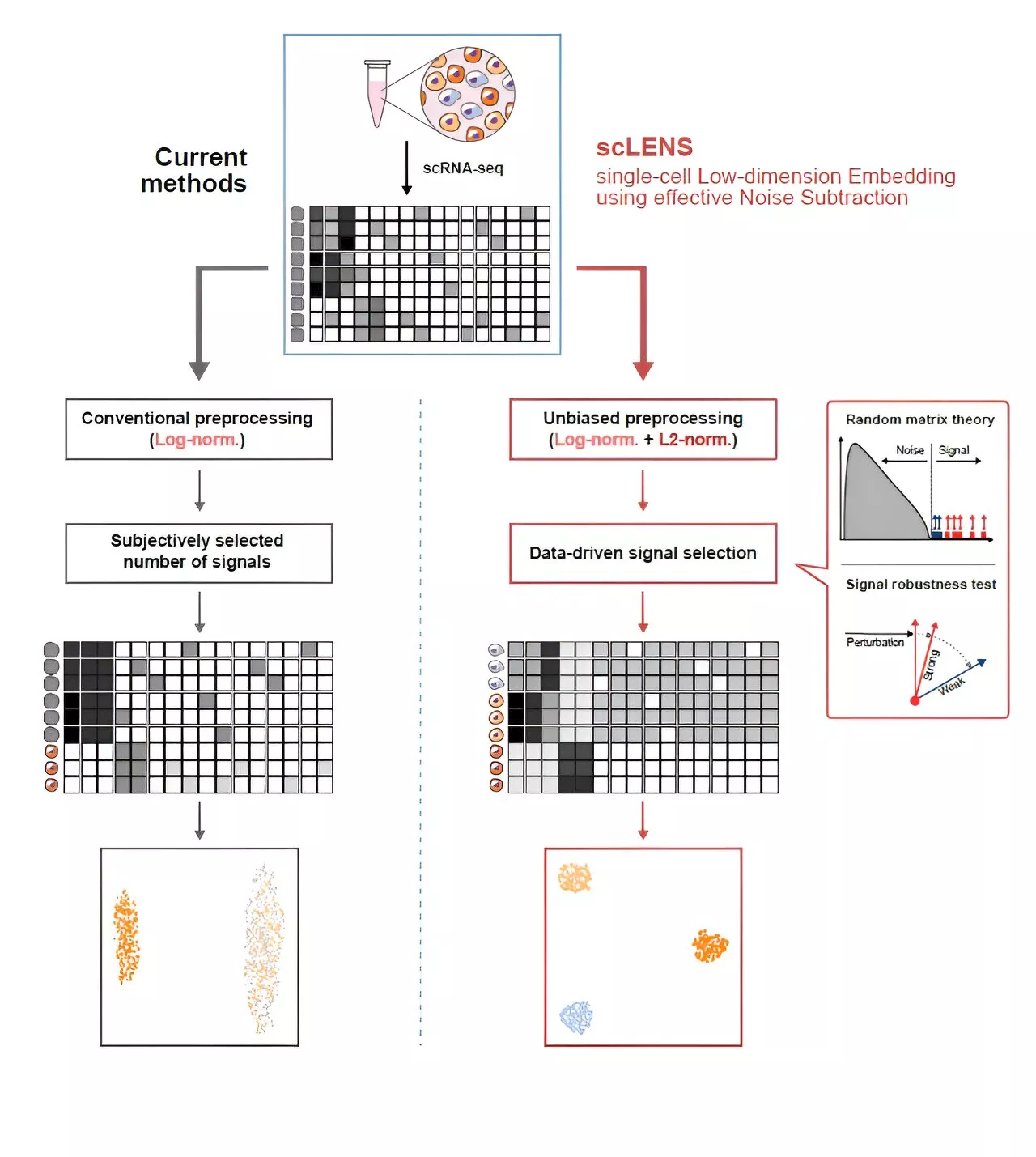 New tool decodes complex, single-cell genomic data