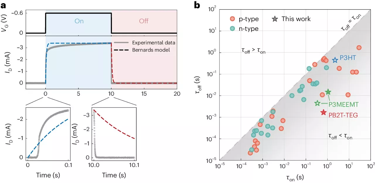 Organic electrochemical transistors: Scientists solve chemical mystery at the interface of biology and technology