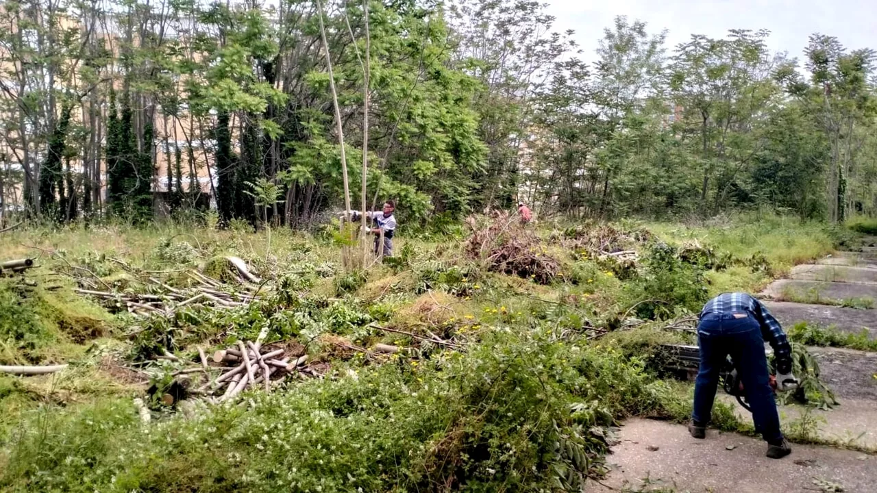 Cantieri a Pietralata, al via il rifacimento di strade e aree verdi