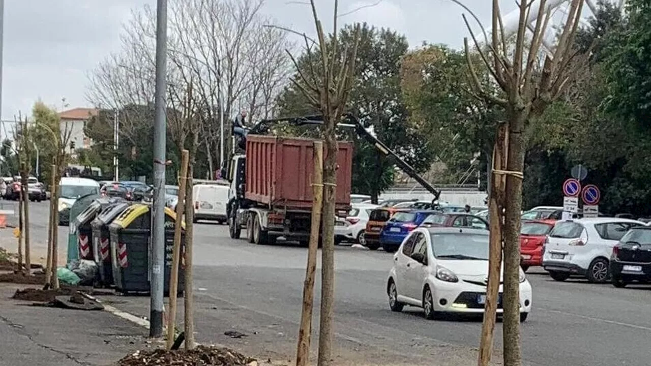 Ostiense, i residenti adottano i 51 nuovi alberi di via Benzoni